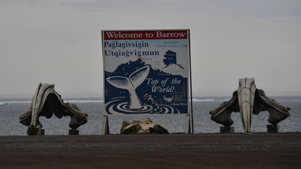 %_tempFileName01_Barrow_DSC_4013%